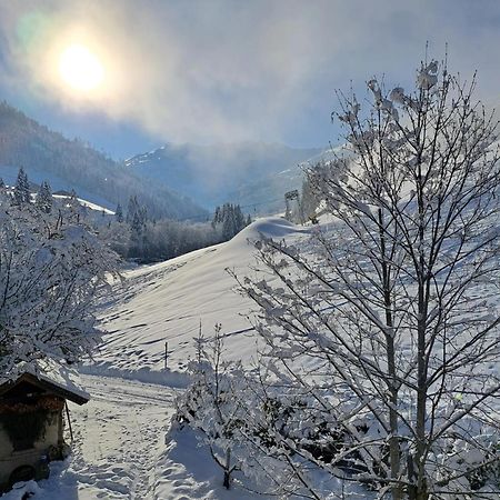 Ferienwohnungen Lehenhof Alpbach Εξωτερικό φωτογραφία
