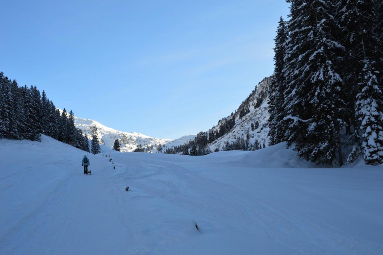 Ferienwohnungen Lehenhof Alpbach Εξωτερικό φωτογραφία