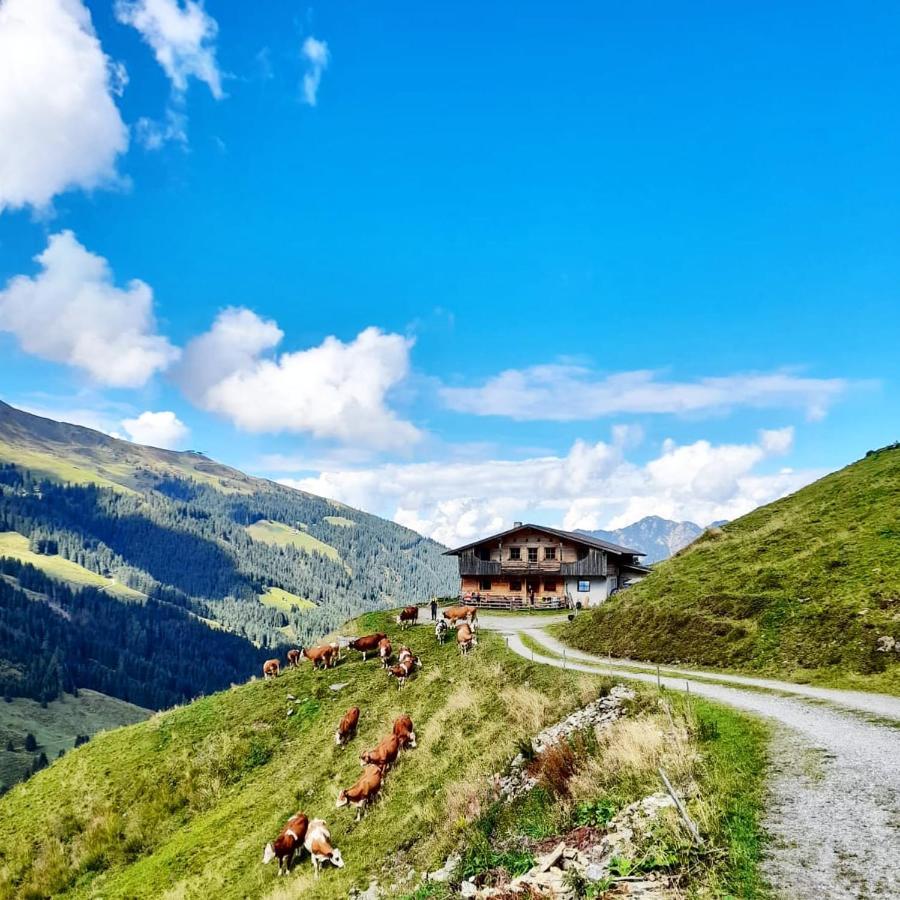 Ferienwohnungen Lehenhof Alpbach Εξωτερικό φωτογραφία