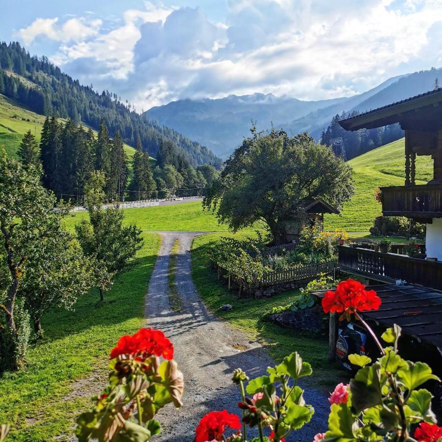 Ferienwohnungen Lehenhof Alpbach Εξωτερικό φωτογραφία