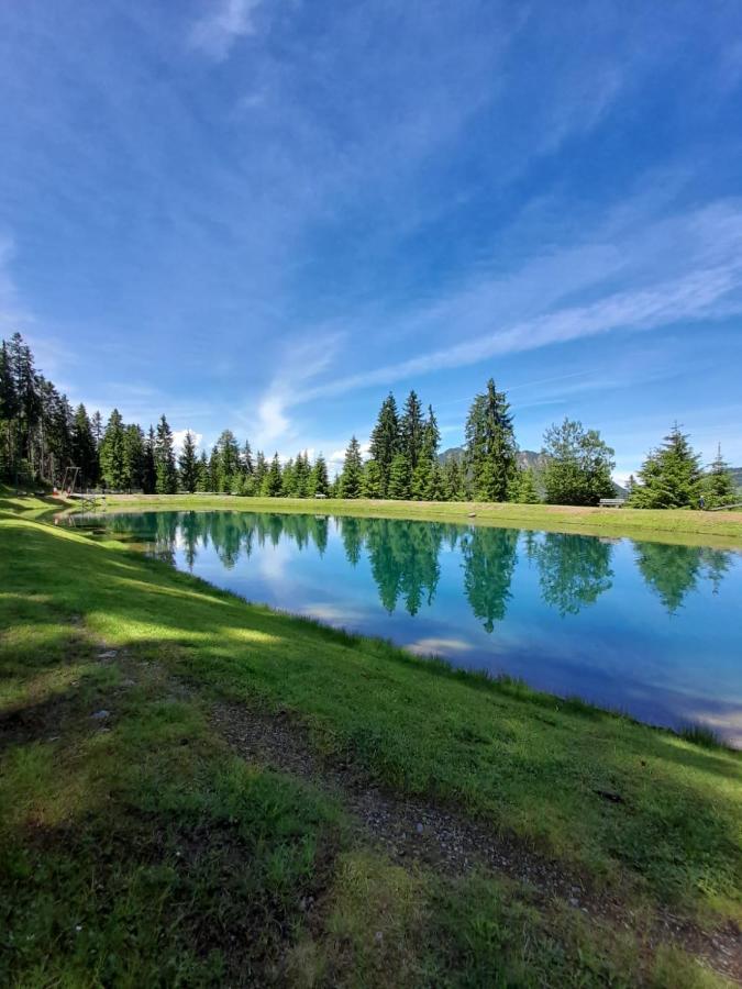 Ferienwohnungen Lehenhof Alpbach Εξωτερικό φωτογραφία