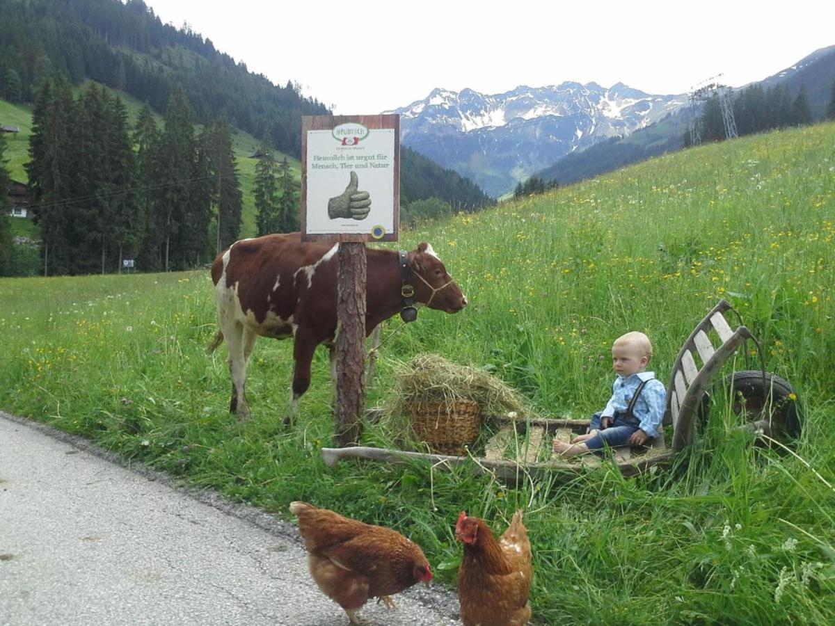 Ferienwohnungen Lehenhof Alpbach Εξωτερικό φωτογραφία