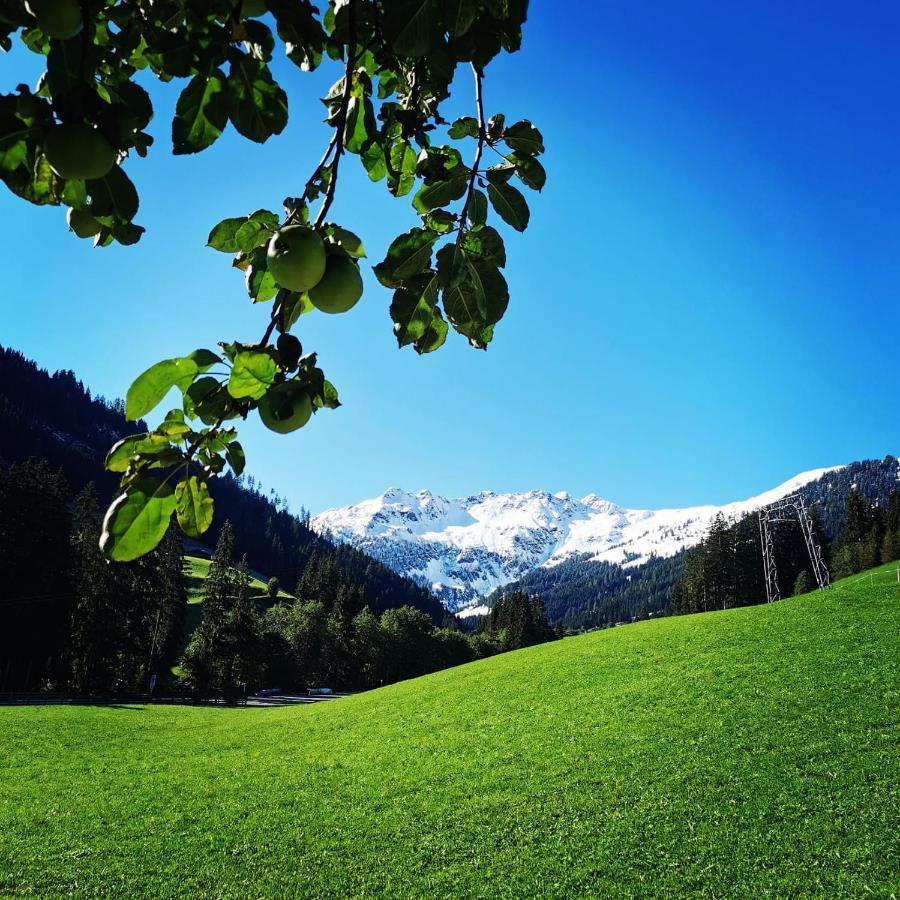 Ferienwohnungen Lehenhof Alpbach Εξωτερικό φωτογραφία