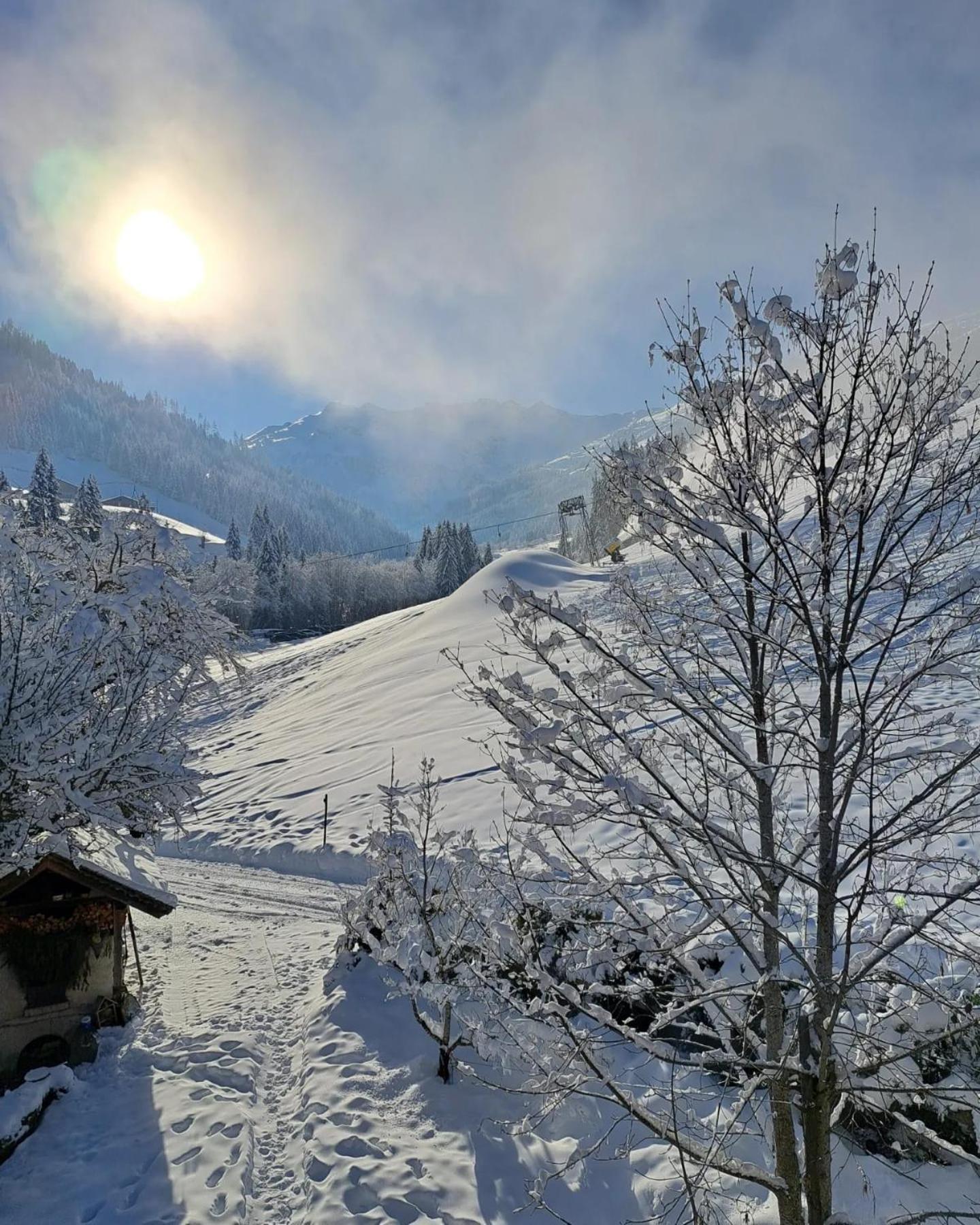 Ferienwohnungen Lehenhof Alpbach Εξωτερικό φωτογραφία
